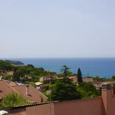 Delle Begonie *